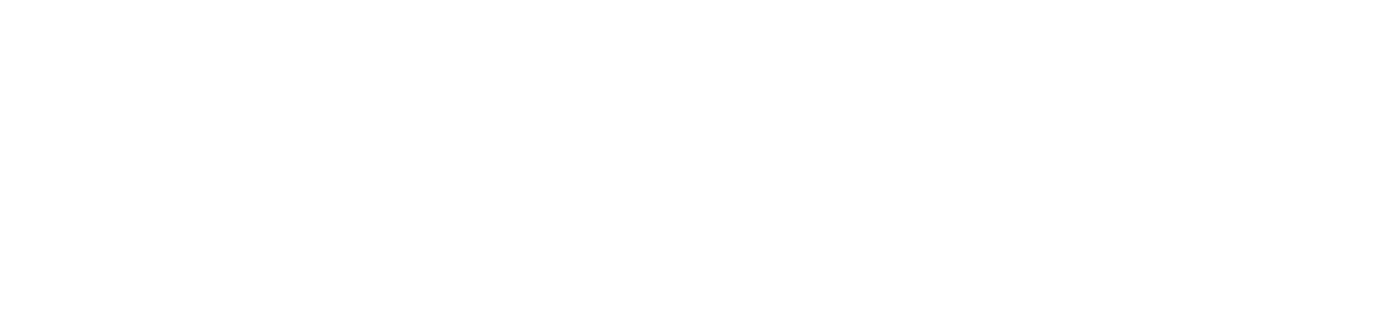 LeadWiser Consultancy
